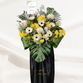 Heartfelt Grazia